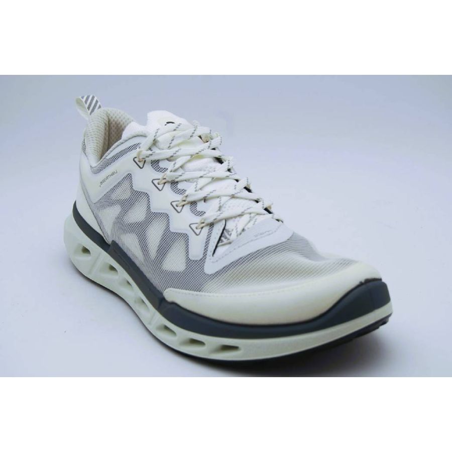 ECCO vit BIOM 720 sneaker
