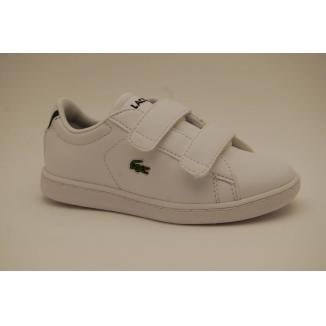 LACOSTE vit CARNABY EVO